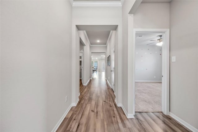1207 Haley Ln, Salado, TX 76571 - hallway featuring light wood-style flooring and crown molding