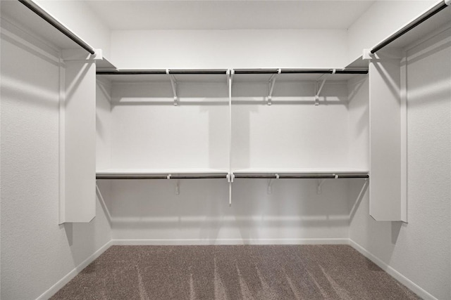 1207 Haley Ln, Salado, TX 76571 - spacious closet featuring carpet flooring