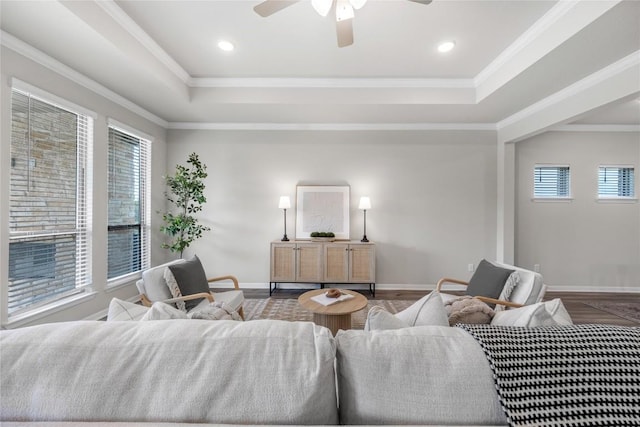 1207 Haley Ln, Salado, TX 76571 - living room featuring a tray ceiling, plenty of natural light, wood finished floors, crown molding, and recessed lighting