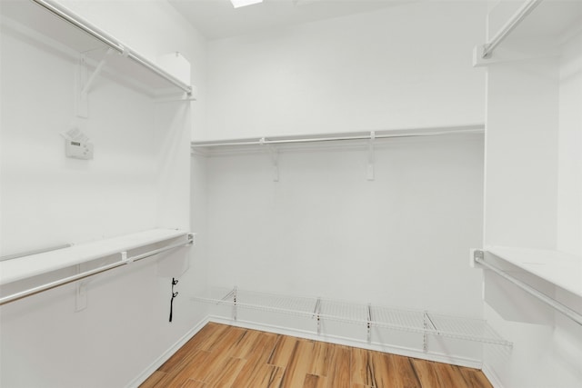 spacious closet with wood-type flooring