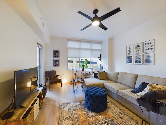 living room with ceiling fan and light hardwood / wood-style flooring