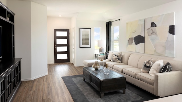 living room featuring dark hardwood / wood-style flooring