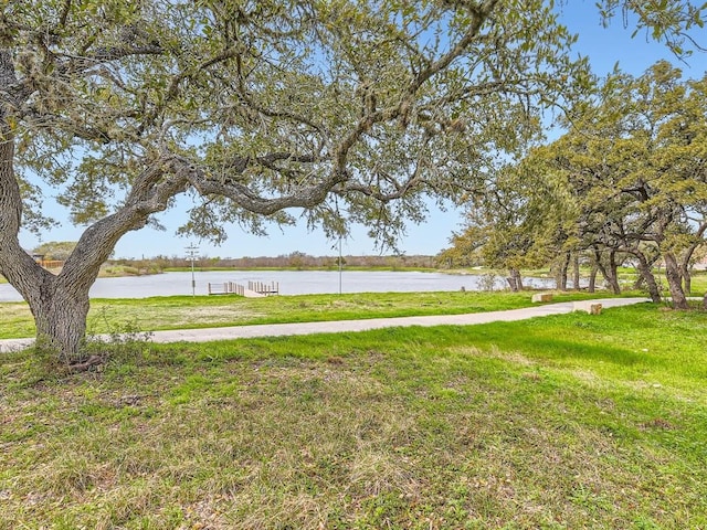 view of yard featuring a water view