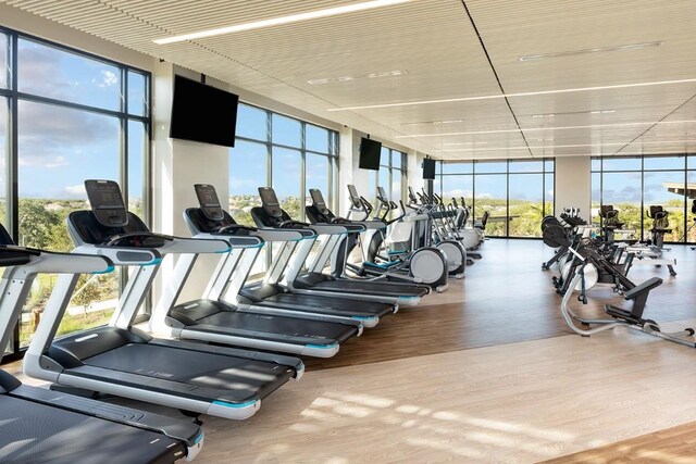 exercise room with hardwood / wood-style flooring, plenty of natural light, and a wall of windows