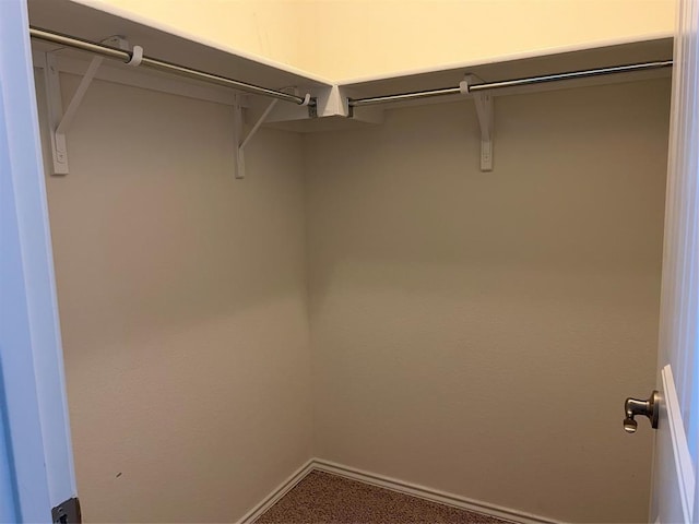 spacious closet featuring carpet flooring