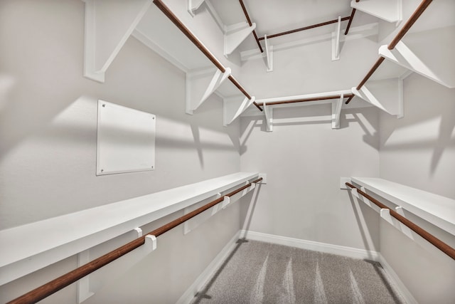 spacious closet with light carpet