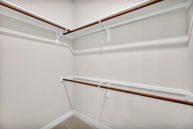 walk in closet with carpet