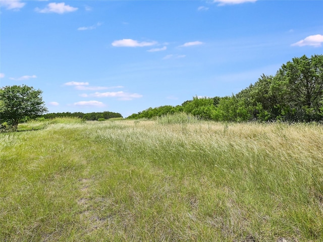 view of local wilderness featuring a rural view