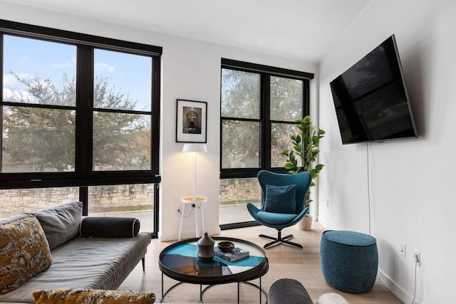 interior space with light hardwood / wood-style floors and a wealth of natural light