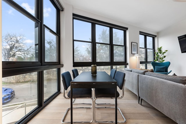 dining room featuring light hardwood / wood-style flooring and plenty of natural light