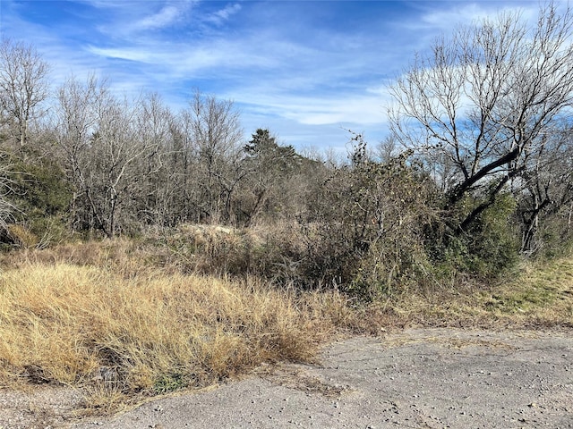 8100 Fm 1854, Dale TX, 78616 land for sale