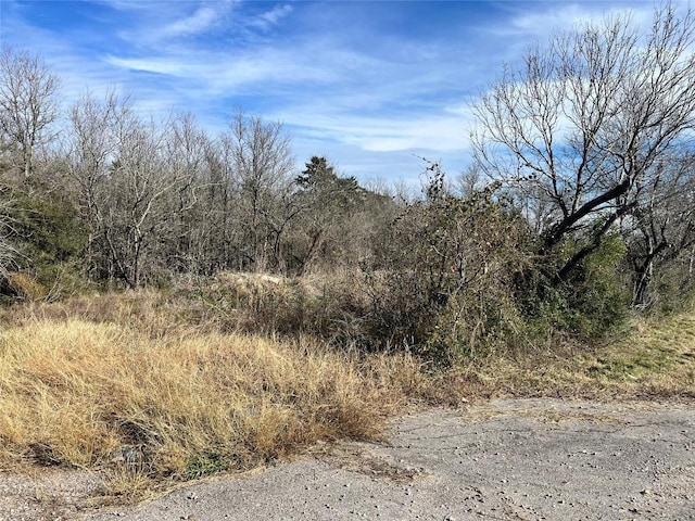 8100 Fm 1854, Dale, TX 78616 - photo 1