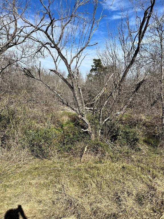 8100 Fm 1854, Dale, TX 78616 - photo 3
