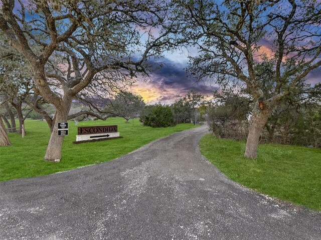 view of community featuring a yard