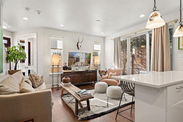 living room with dark hardwood / wood-style floors