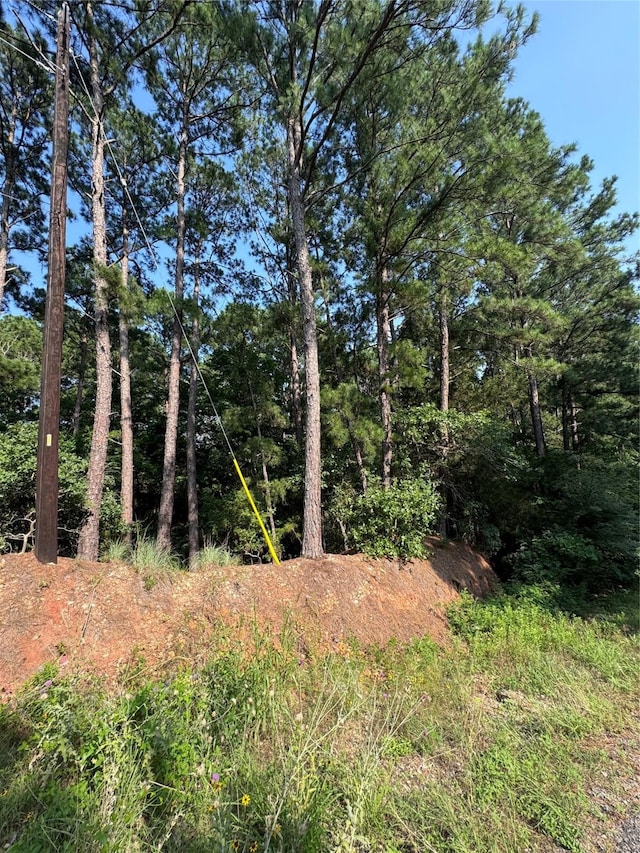 LOT1451 Akaloa Dr, Bastrop TX, 78602 land for sale