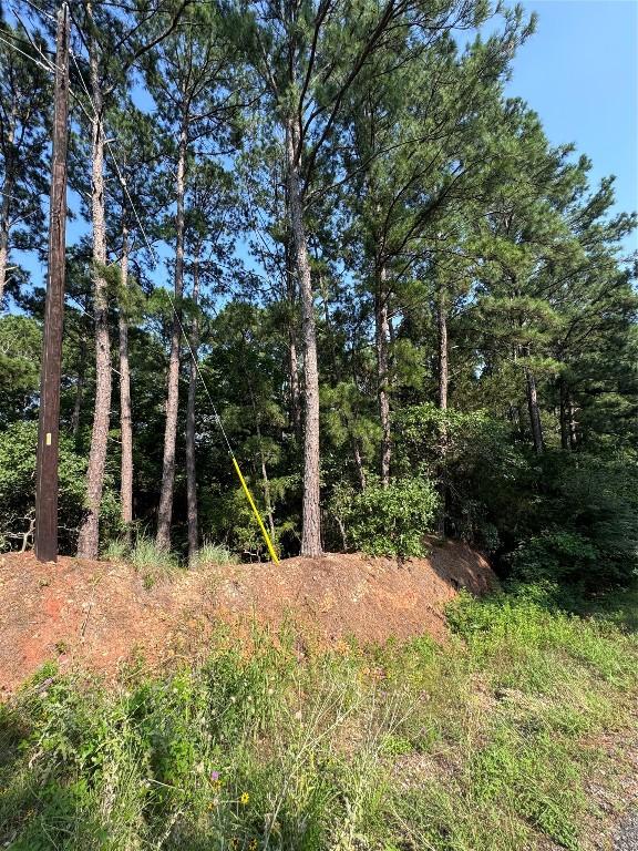 00 Koae Ct, Bastrop, TX 78602