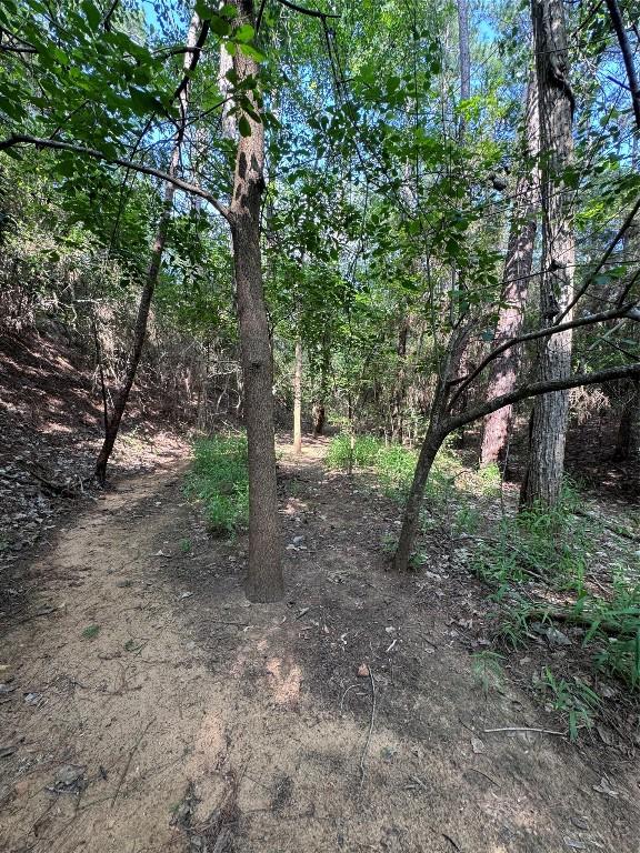 00 Koae Ct, Bastrop, TX 78602