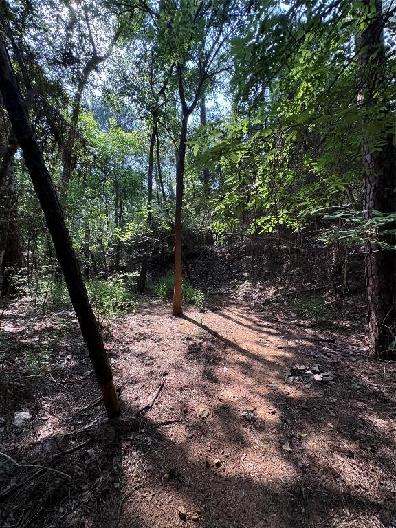 00 Koae Ct, Bastrop, TX 78602