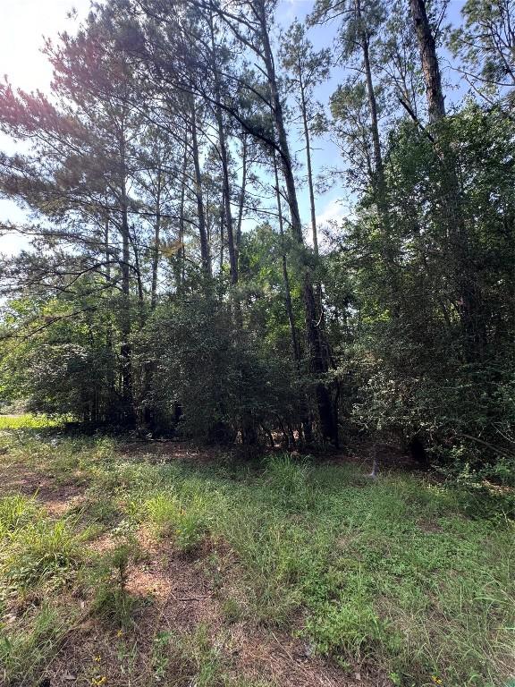 00 Koae Ct, Bastrop, TX 78602