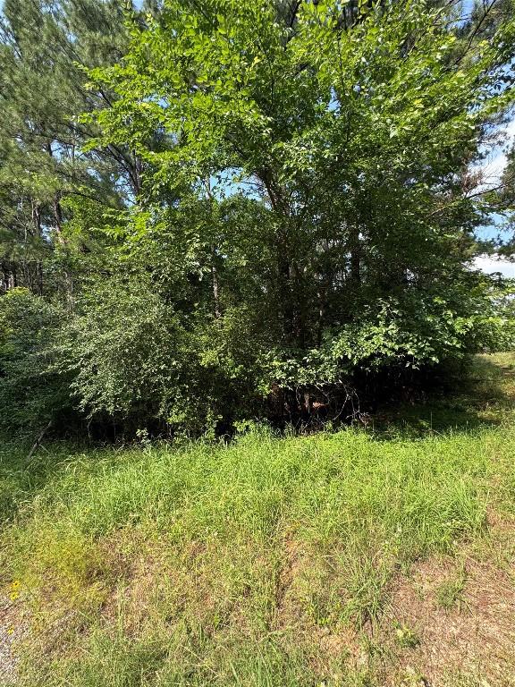 00 Koae Ct, Bastrop, TX 78602