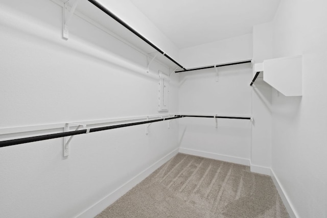 314 Five Mile Creek Way, Kyle, TX 78640 - walk in closet featuring light colored carpet