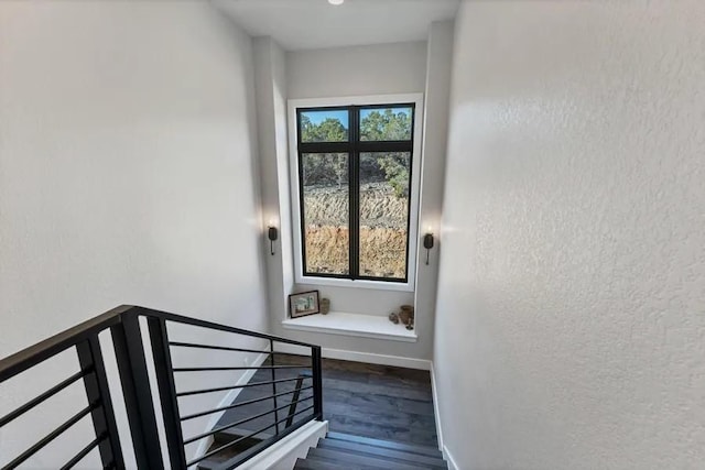 stairs featuring wood-type flooring and plenty of natural light