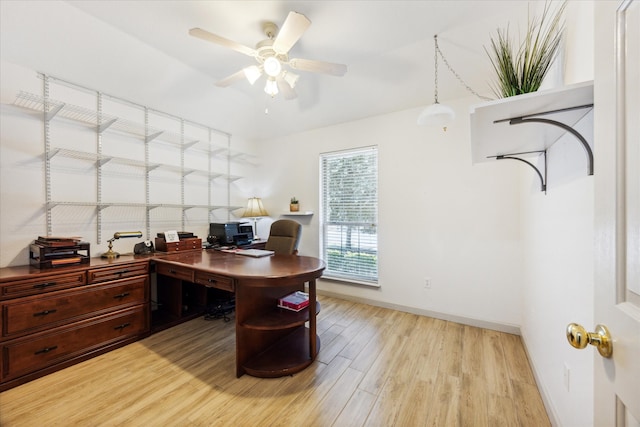 office featuring light hardwood / wood-style floors and ceiling fan