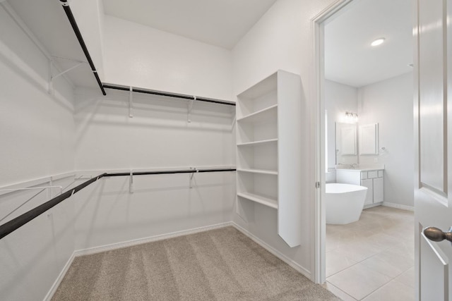 305 Five Mile Creek Way, Kyle, TX 78640 - spacious closet with light colored carpet