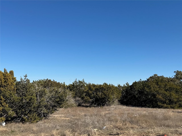 view of local wilderness