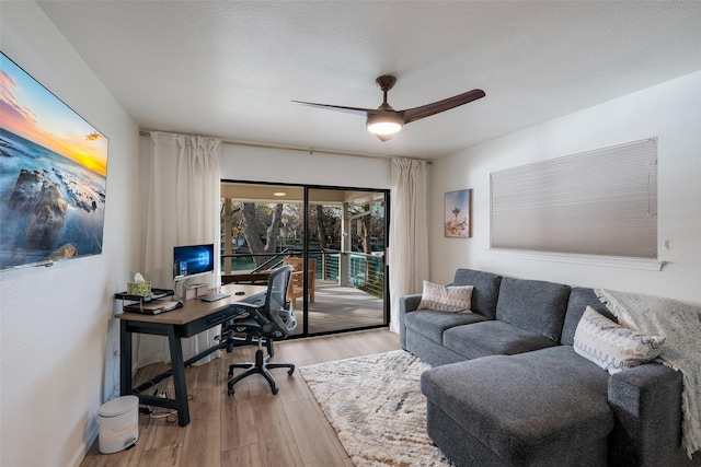 office space with light wood-type flooring, ceiling fan, and a textured ceiling