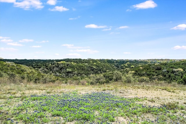 15099 Strader Cir, Austin TX, 78734 land for sale