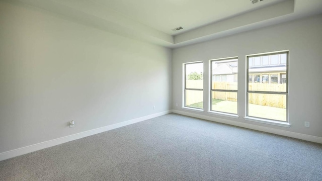 117 White Creek Ln, Georgetown, TX 78628 - unfurnished room featuring carpet floors and a raised ceiling