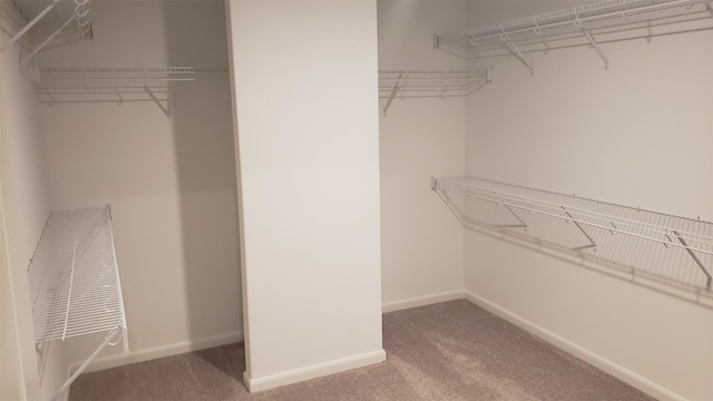 spacious closet with carpet floors