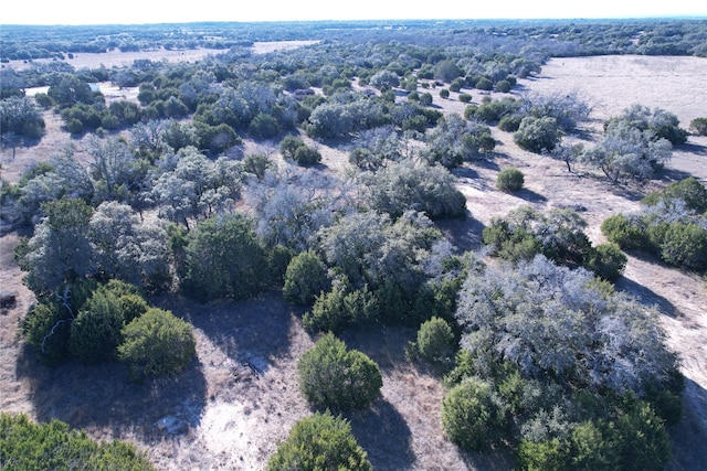 312 Oak Stump Dr, Goldthwaite, TX 76844 - photo 1