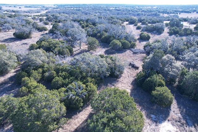 312 Oak Stump Dr, Goldthwaite, TX 76844 - photo 2