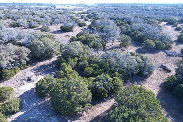 312 Oak Stump Dr, Goldthwaite, TX 76844 - photo 3