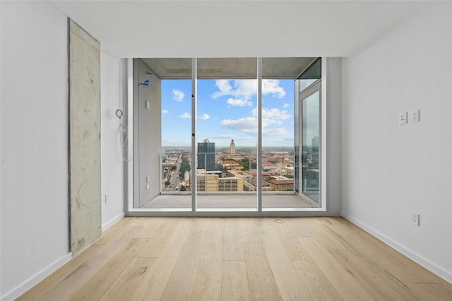 empty room featuring a healthy amount of sunlight, light hardwood / wood-style flooring, and expansive windows