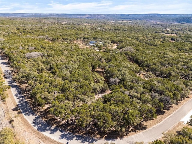 TBDLOT22-A Deer Run, Wimberley, TX 78676 - photo 2