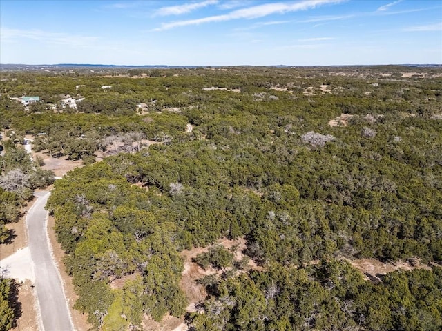 TBDLOT22-A Deer Run, Wimberley, TX 78676 - photo 3