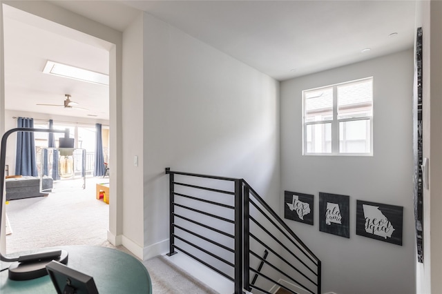 staircase featuring ceiling fan, carpet flooring, and a healthy amount of sunlight