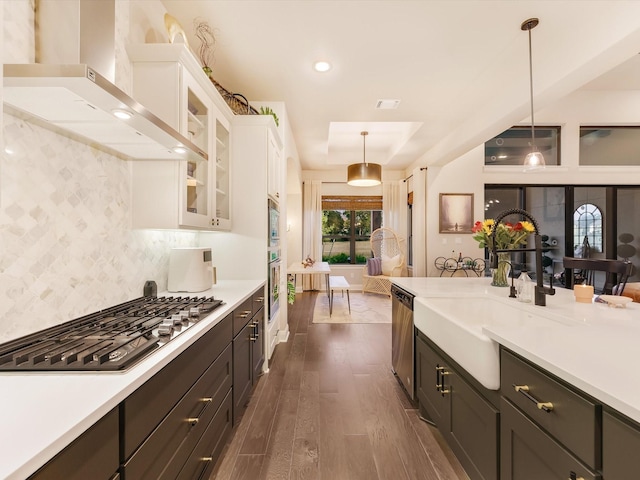 kitchen featuring white cabinetry, stainless steel appliances, dark wood-type flooring, and hanging light fixtures