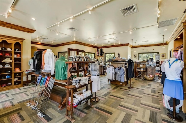 misc room featuring carpet floors and ornamental molding