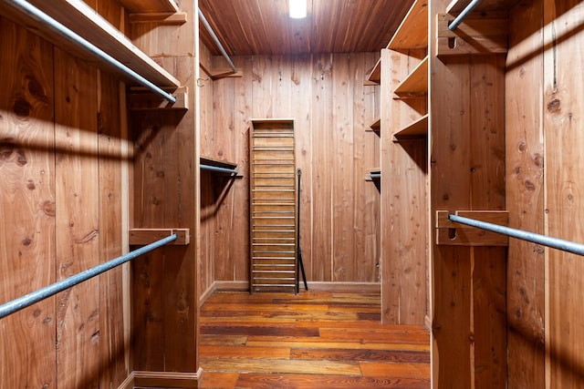 walk in closet featuring dark hardwood / wood-style flooring