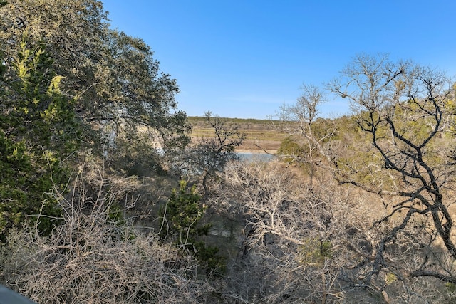 view of local wilderness