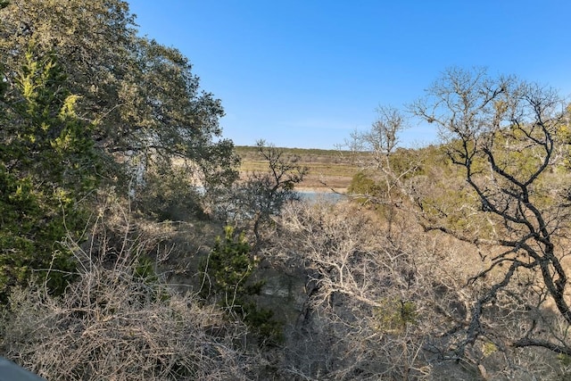 112 Center Cove Iii Loop, Spicewood, TX 78669 - view of nature