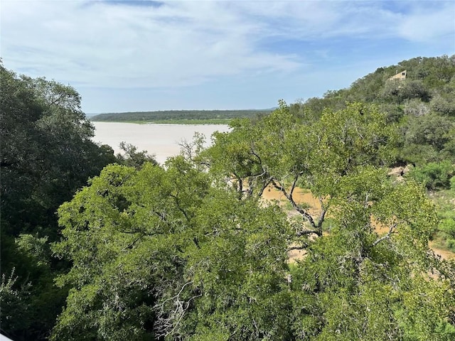 112 Center Cove Iii Loop, Spicewood, TX 78669 - photo 40