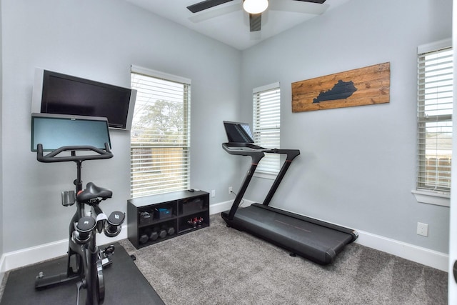 exercise room featuring carpet floors and ceiling fan