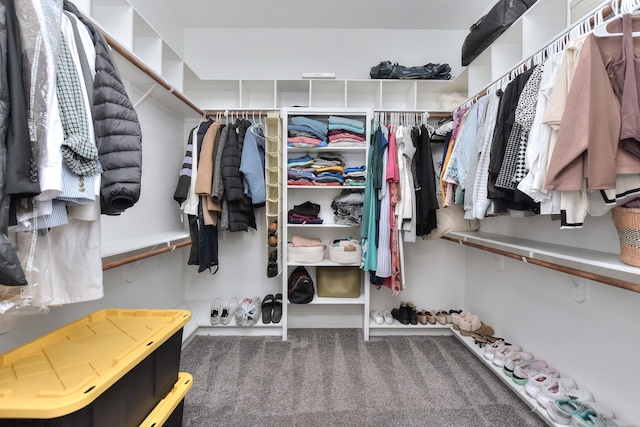 spacious closet with carpet floors