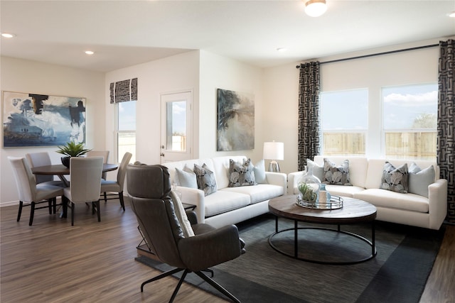 living room featuring dark hardwood / wood-style flooring